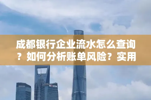 成都银行企业流水怎么查询？如何分析账单风险？实用指南